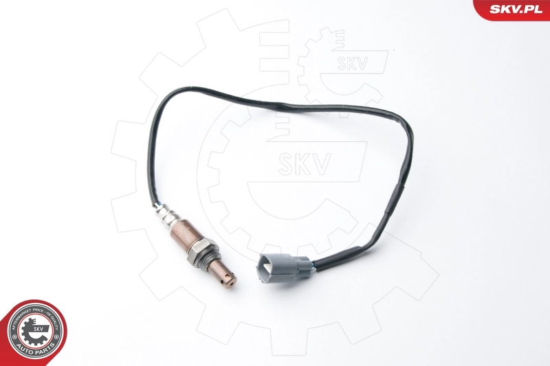 Oxygen Sensor